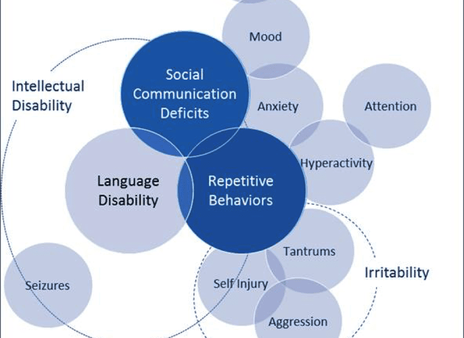 Autism Spectrum Disorder